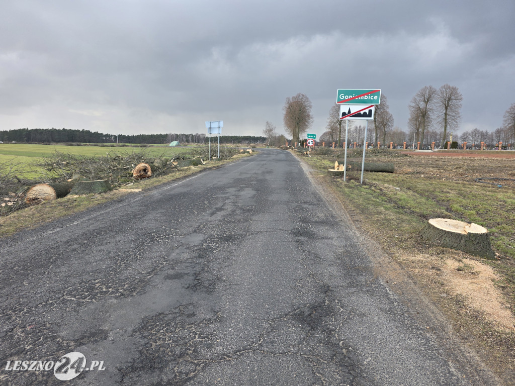 Wycinka drzew przy drodze Lipno-Goniembice
