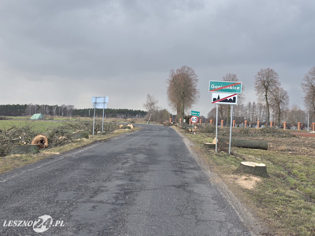 Wycinka drzew przy drodze Lipno-Goniembice