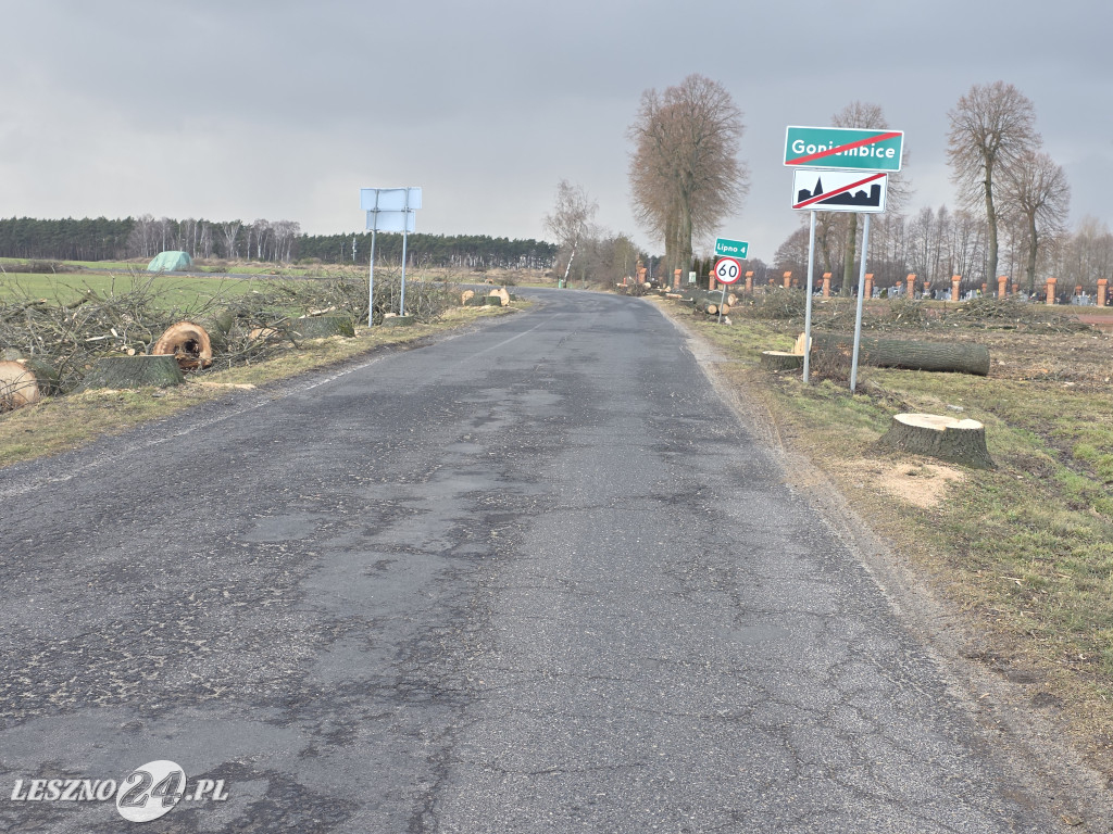 Wycinka drzew przy drodze Lipno-Goniembice