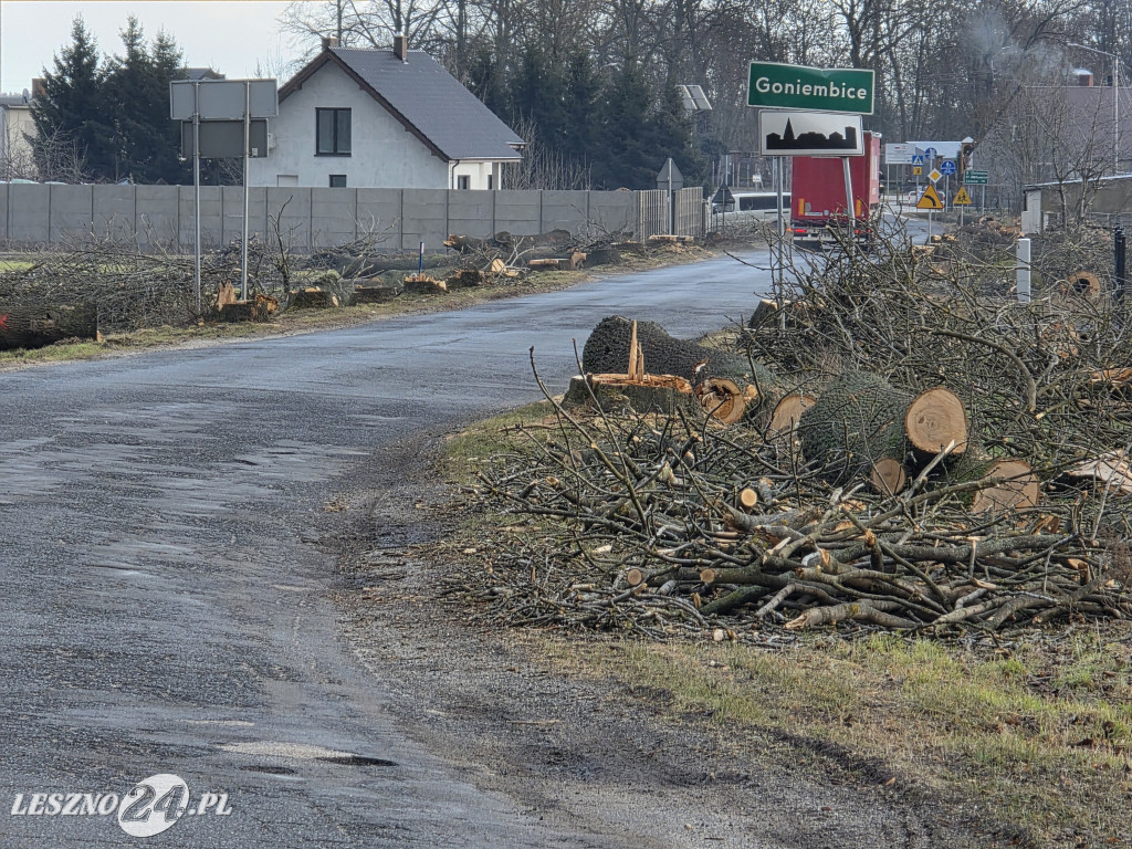 Wycinka drzew przy drodze Lipno-Goniembice