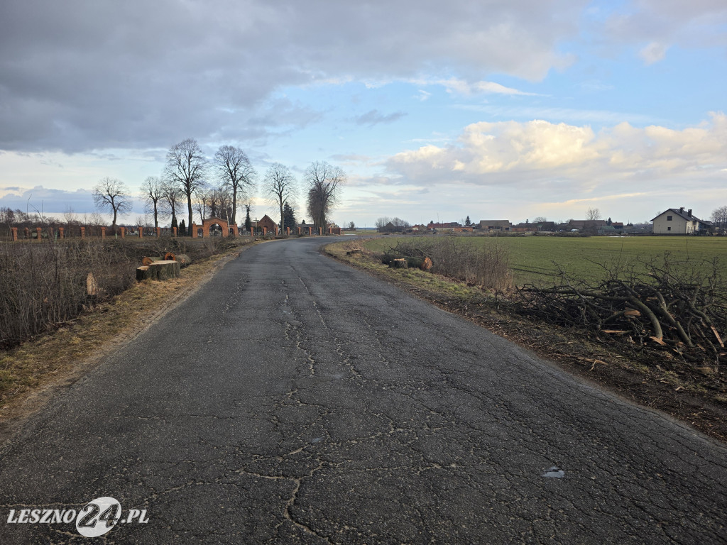 Wycinka drzew przy drodze Lipno-Goniembice