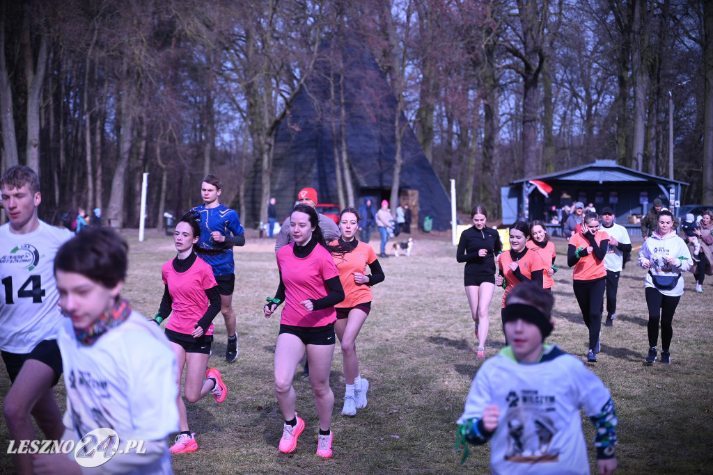 Pobiegli Tropem Wilczym w Górznie