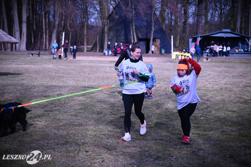 Pobiegli Tropem Wilczym w Górznie