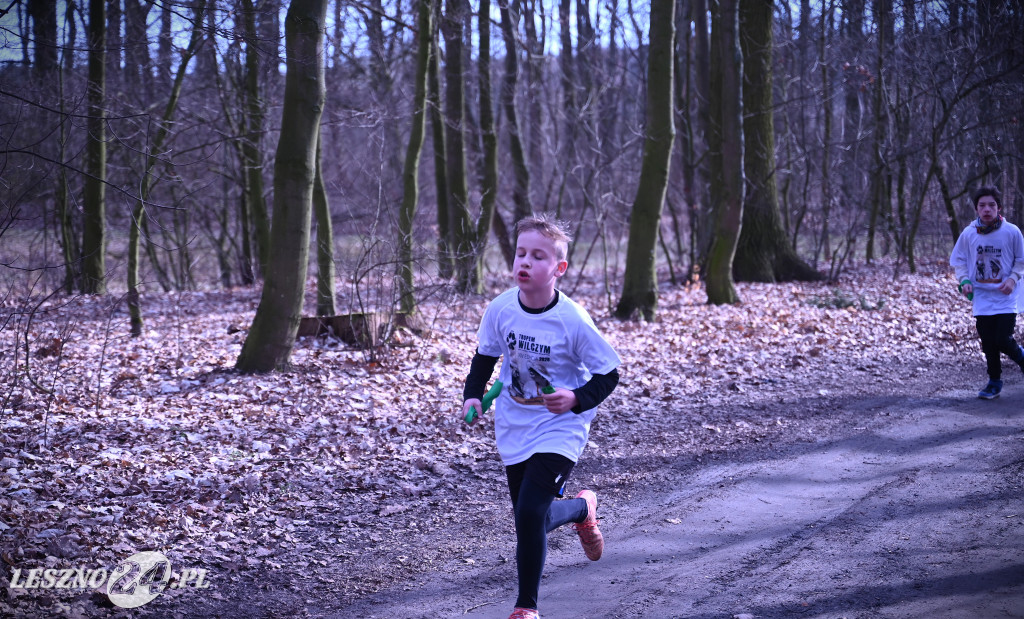 Pobiegli Tropem Wilczym w Górznie