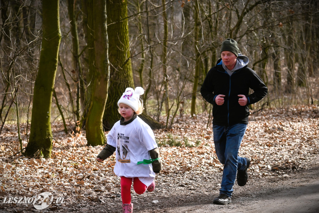 Pobiegli Tropem Wilczym w Górznie