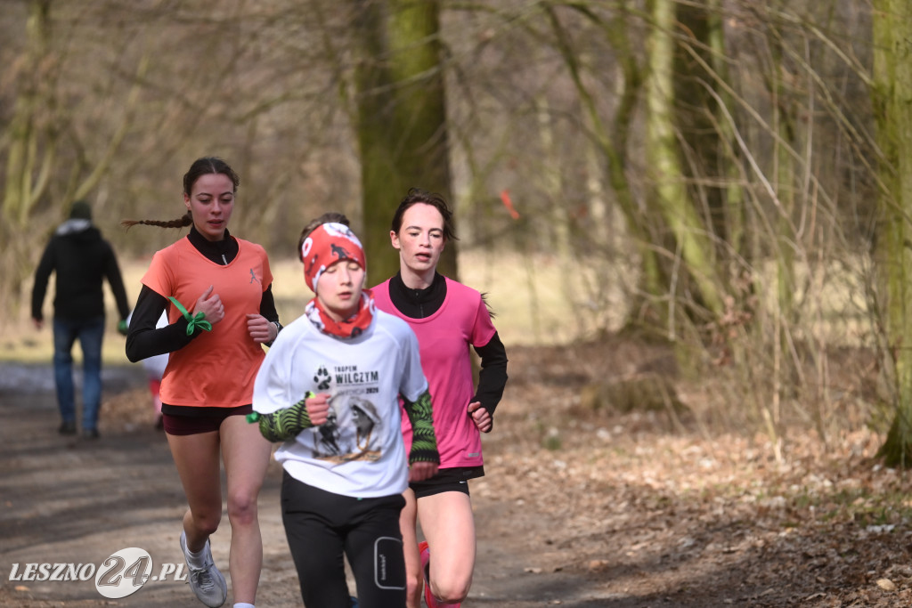 Pobiegli Tropem Wilczym w Górznie