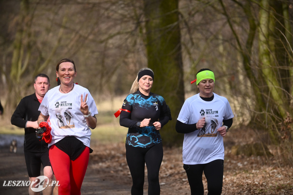 Pobiegli Tropem Wilczym w Górznie