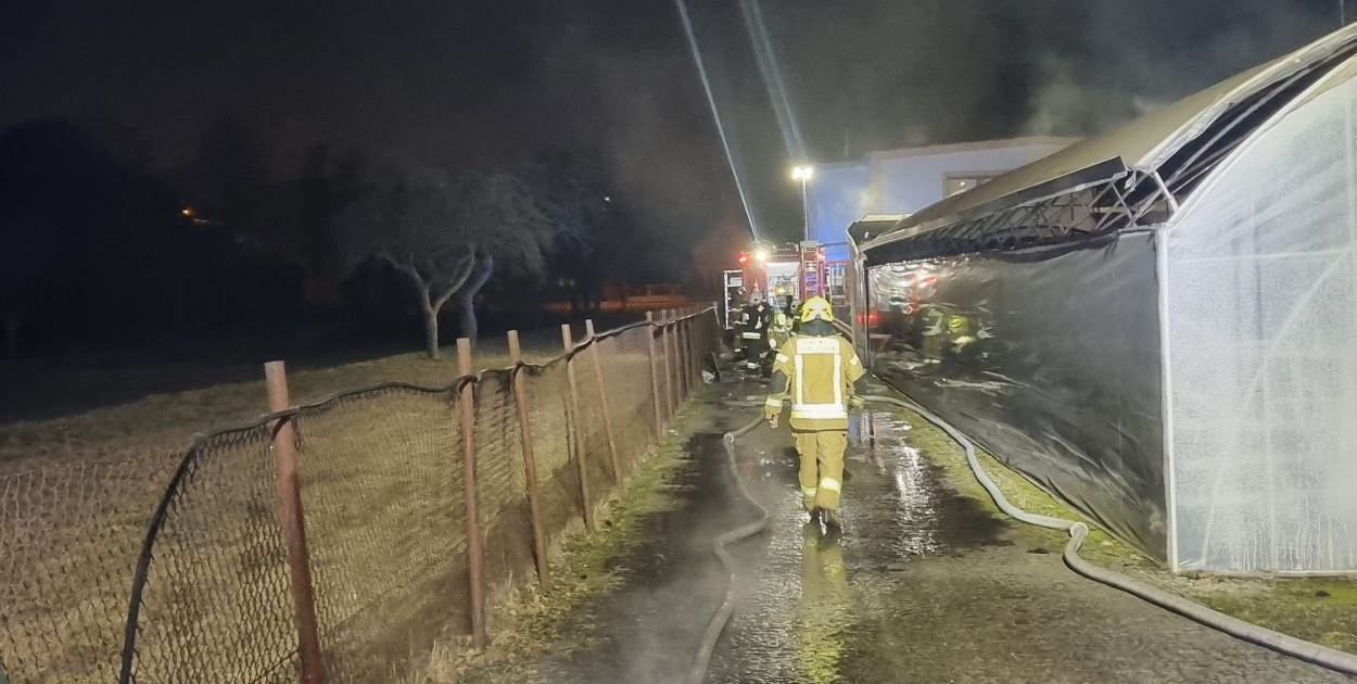 Pożar kotłowni w zakładzie ogrodniczym w Lesznie