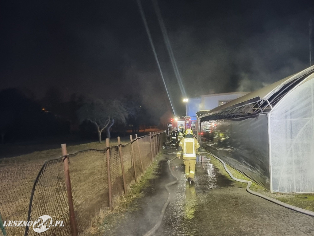 Pożar kotłowni w zakładzie ogrodniczym w Lesznie