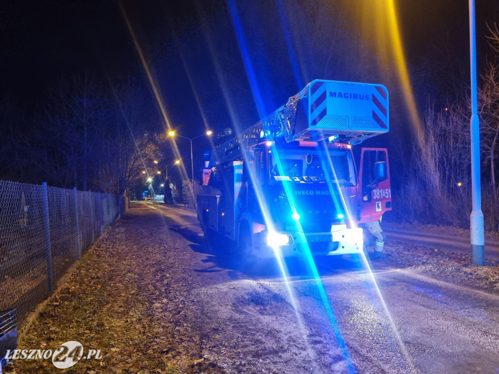 Pożar kotłowni w zakładzie ogrodniczym w Lesznie