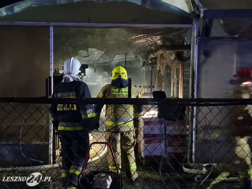 Pożar kotłowni w zakładzie ogrodniczym w Lesznie