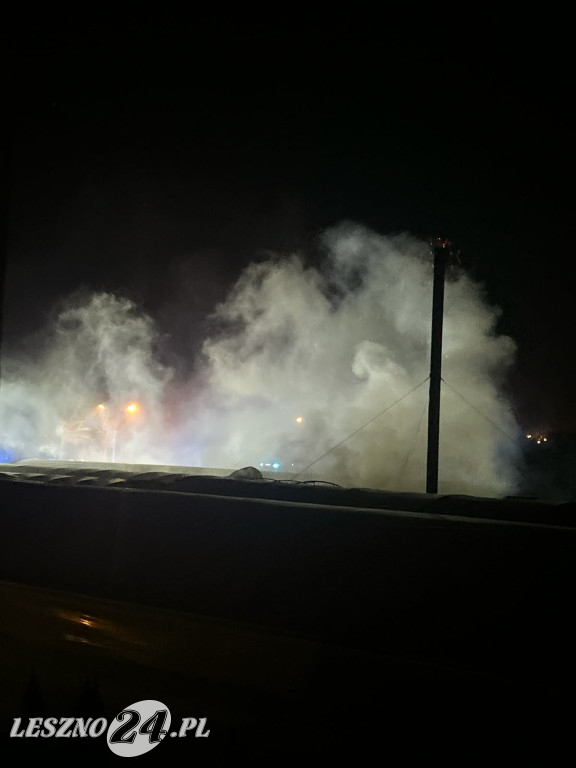 Pożar kotłowni w zakładzie ogrodniczym w Lesznie