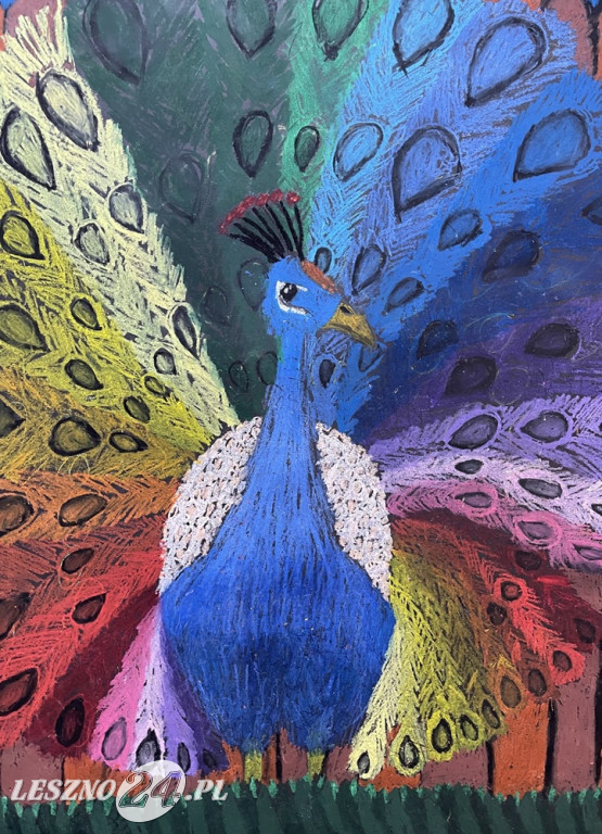 Sukcesy sekcji plastycznej ROK w Rydzynie