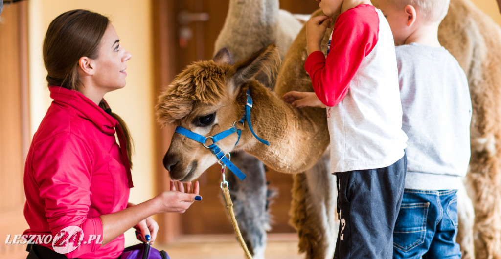Kolorowy Świat – edukacja od żłobka do szkoły