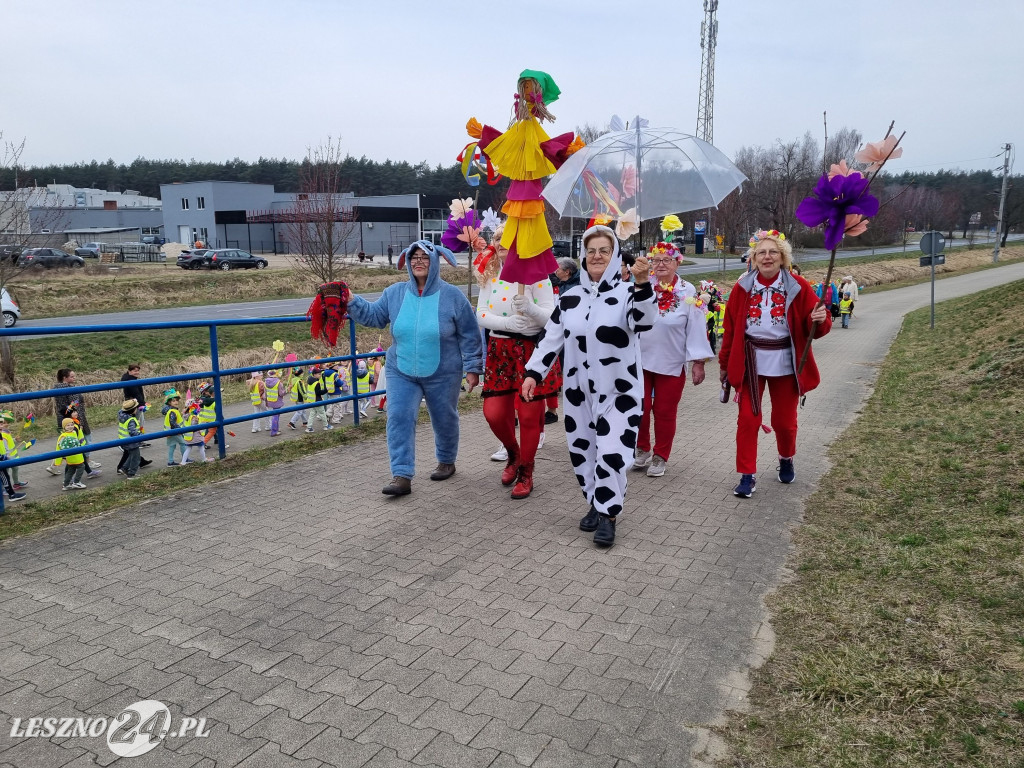 Topienie Marzanny w Rydzynie