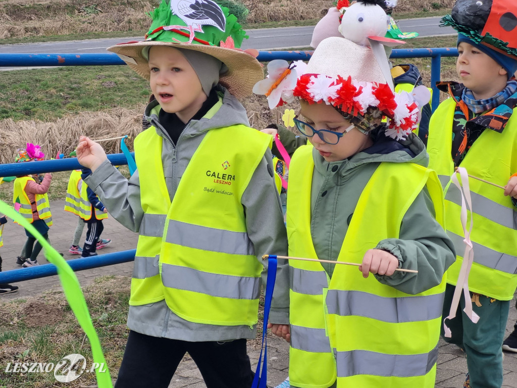 Topienie Marzanny w Rydzynie