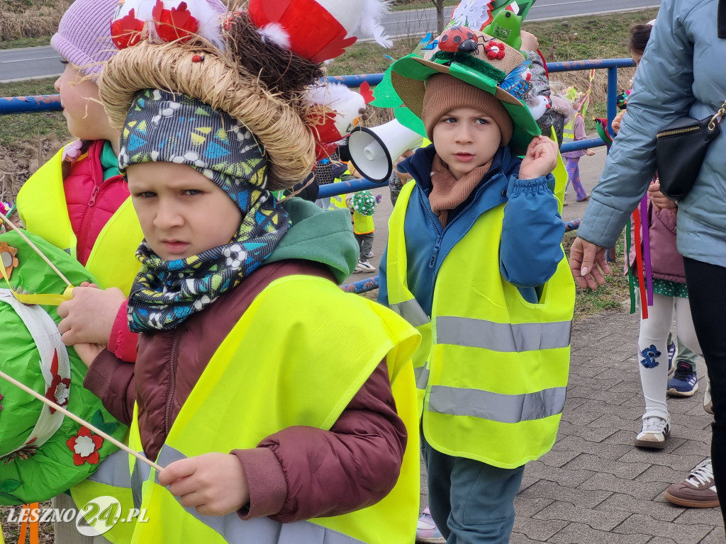 Topienie Marzanny w Rydzynie