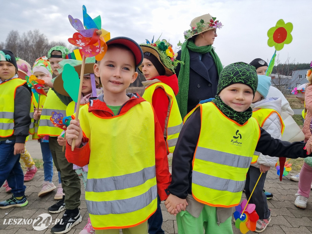 Topienie Marzanny w Rydzynie