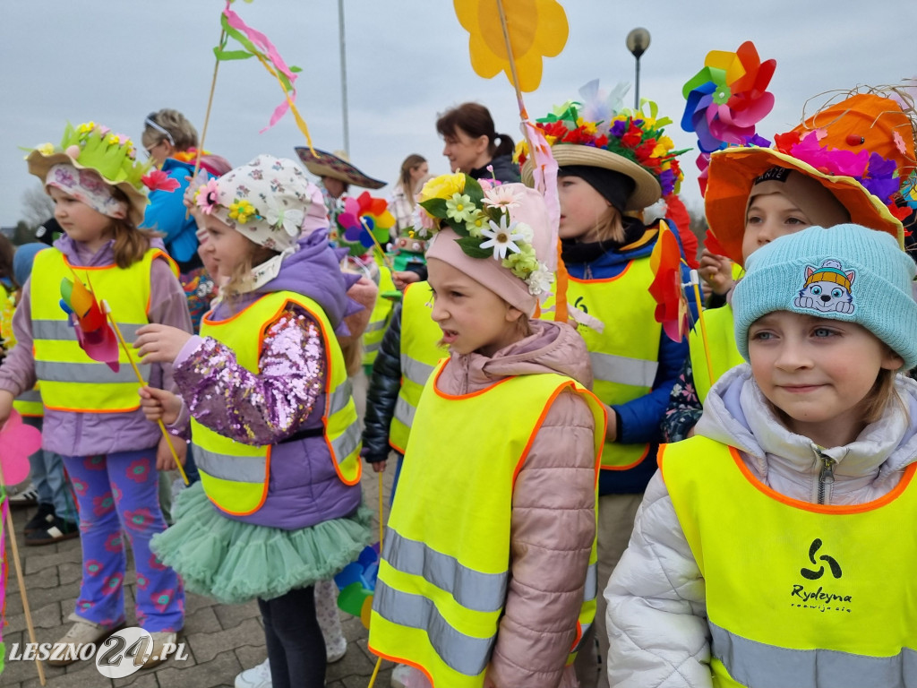 Topienie Marzanny w Rydzynie