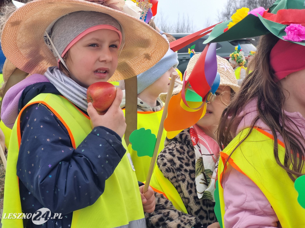 Topienie Marzanny w Rydzynie