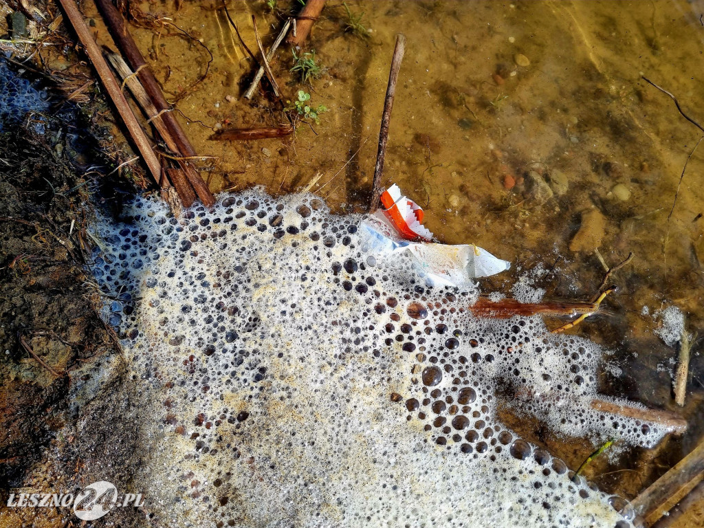 Wędkarze uporządkowali teren zbiornika Rydzyna