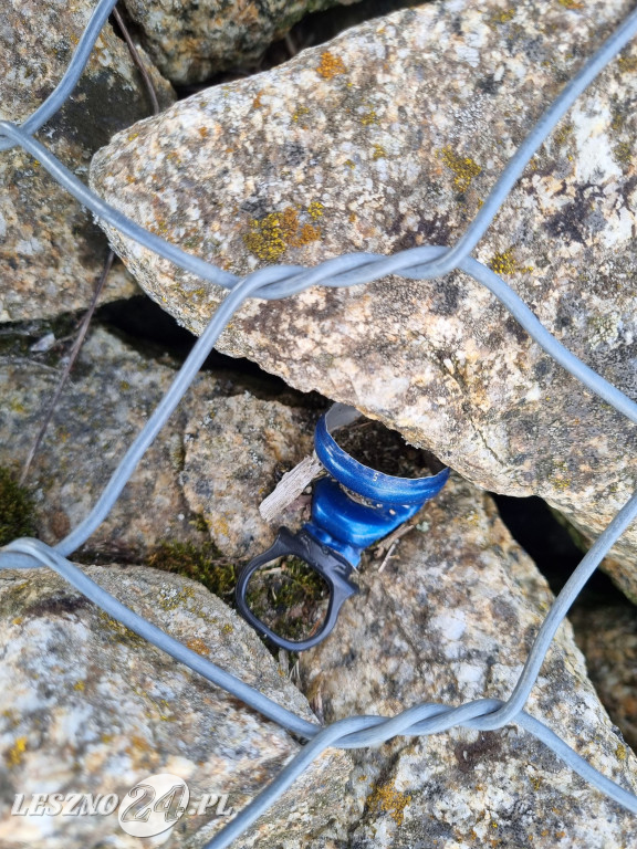 Wędkarze uporządkowali teren zbiornika Rydzyna