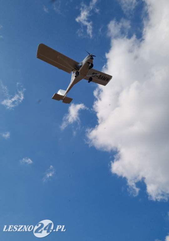 12. Ratowanie Marzanny w Osiecznej