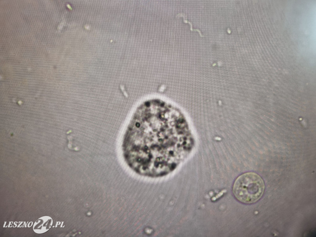 Światowy Dzień Wody w Wodociągach Leszczyńskich