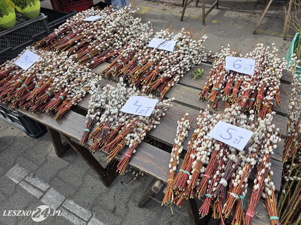 Targowisko Holenderska w Lesznie