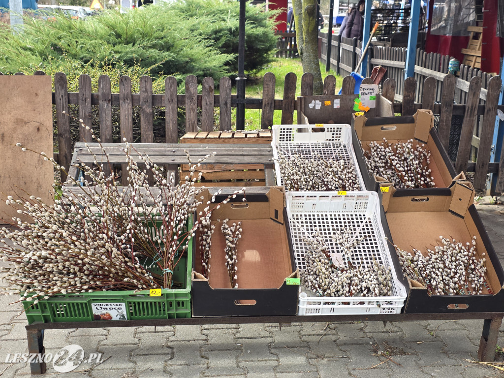 Targowisko Holenderska w Lesznie