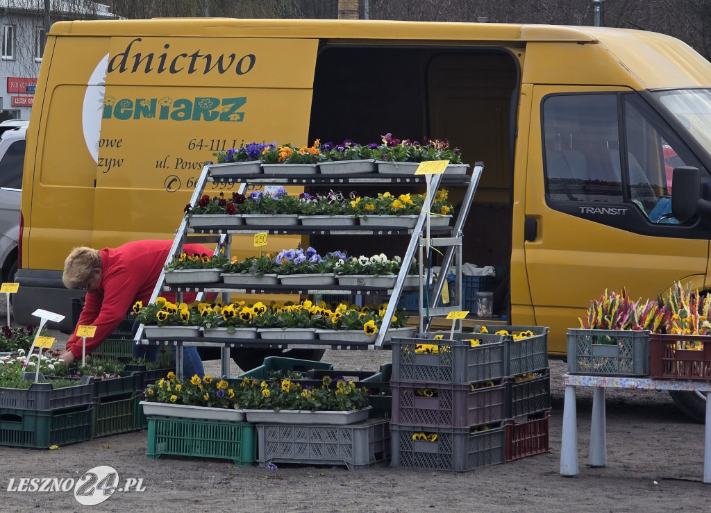 Targowisko Holenderska w Lesznie
