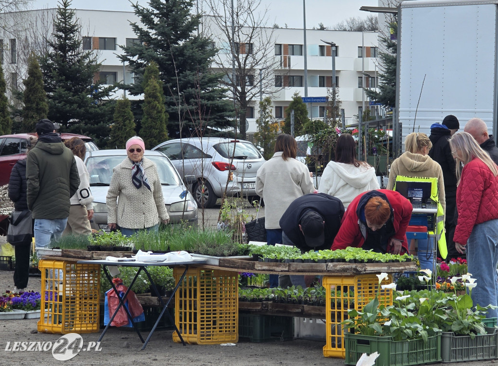 Targowisko Holenderska w Lesznie
