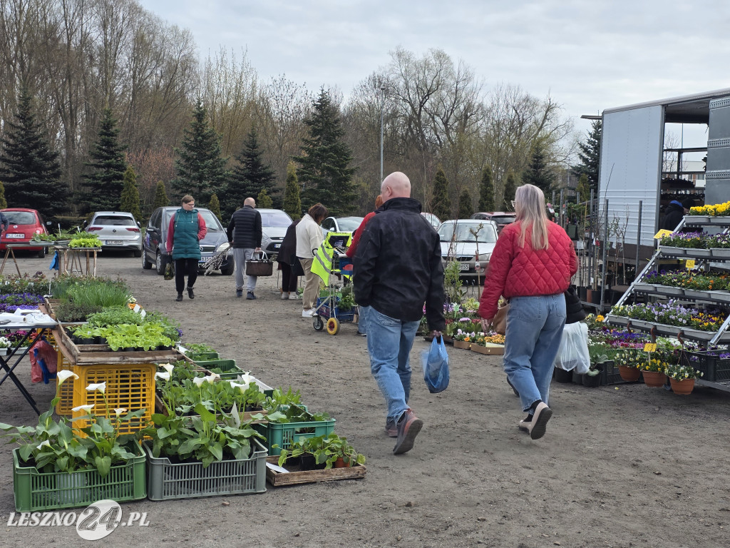 Targowisko Holenderska w Lesznie