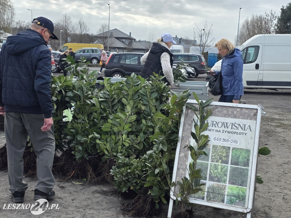 Targowisko Holenderska w Lesznie