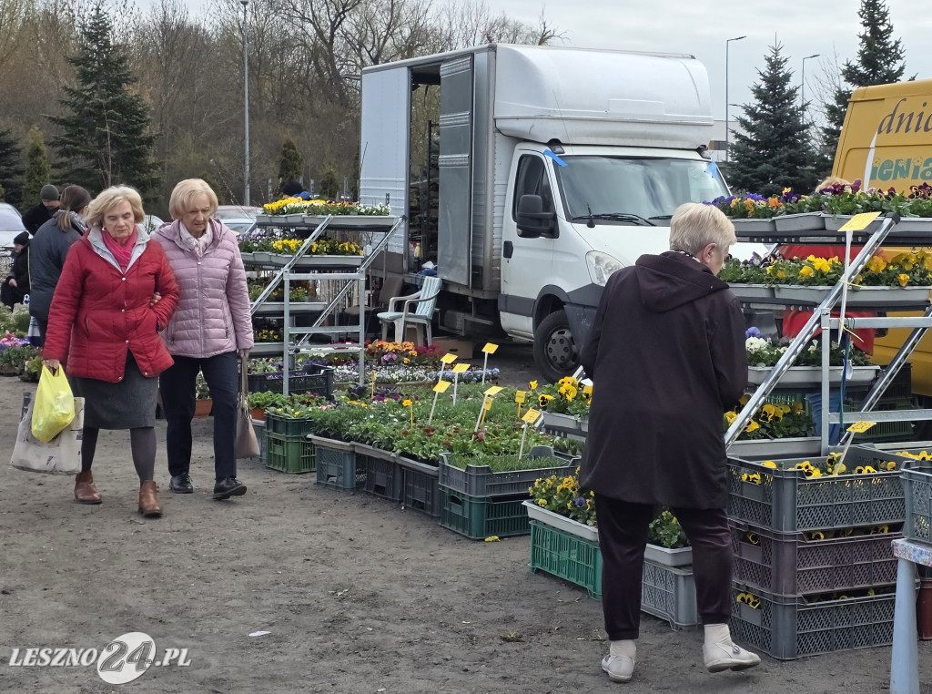 Targowisko Holenderska w Lesznie