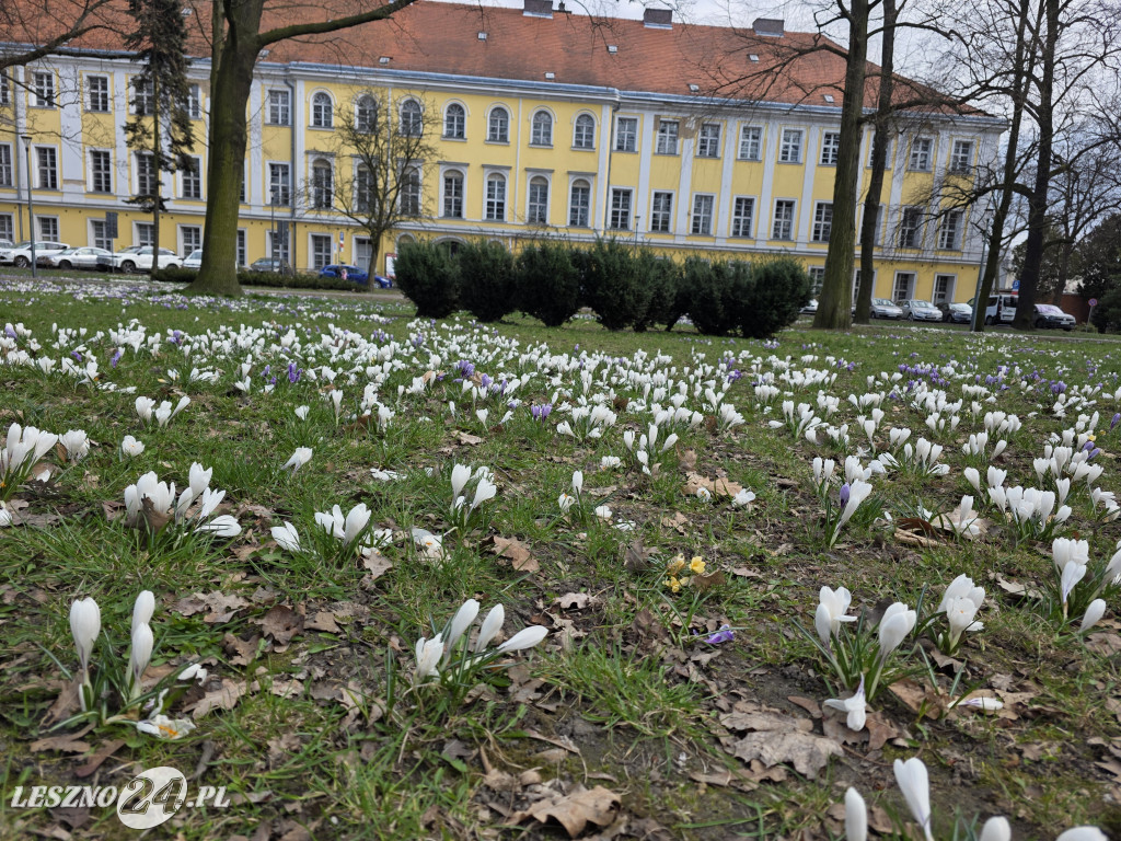 Jarmark Wielkanocny w Lesznie