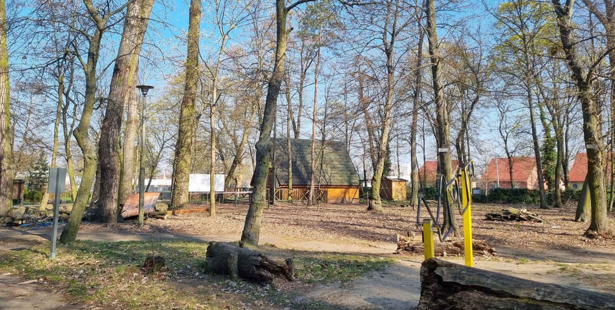 Rozbiórka parku linowego Tarzan w Lesznie