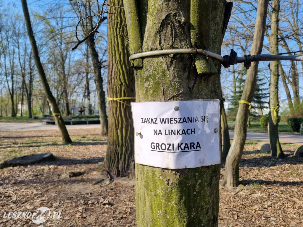 Rozbiórka parku linowego Tarzan w Lesznie