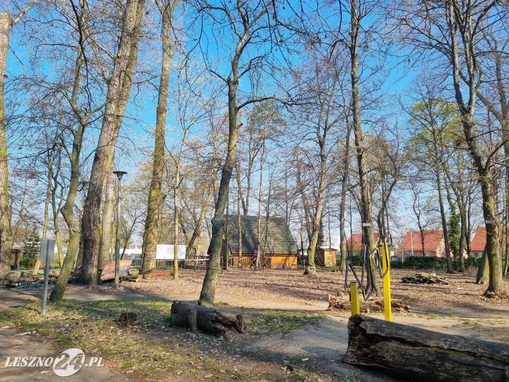 Rozbiórka parku linowego Tarzan w Lesznie