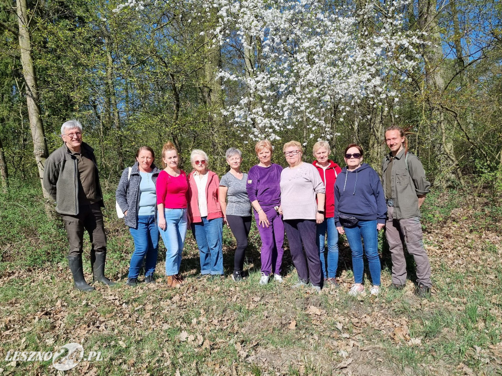 Akcja sadzenia drzew w Nadleśnictwie Karczma Borowa