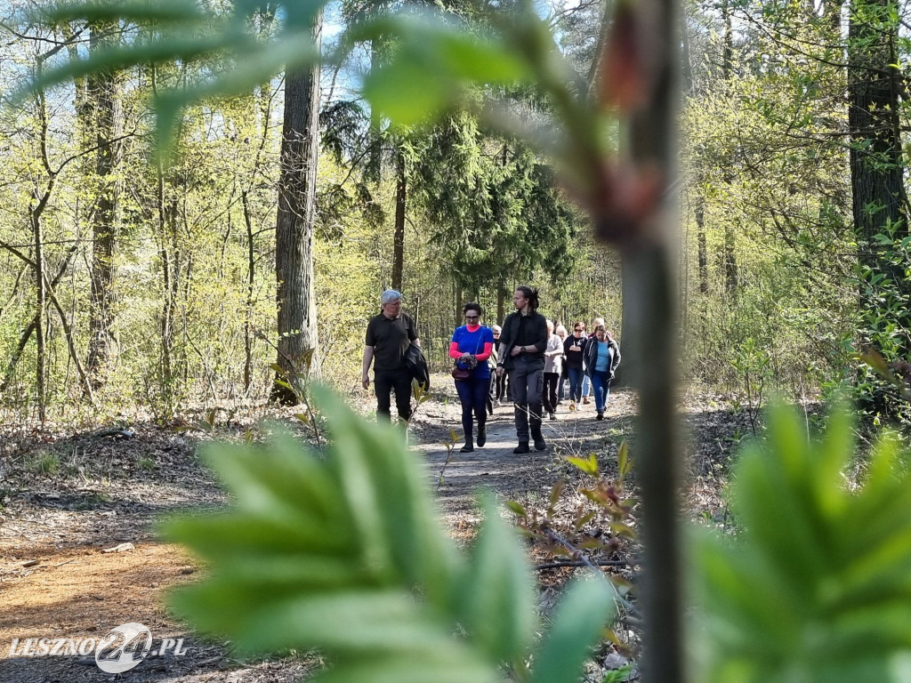 Akcja sadzenia drzew w Nadleśnictwie Karczma Borowa