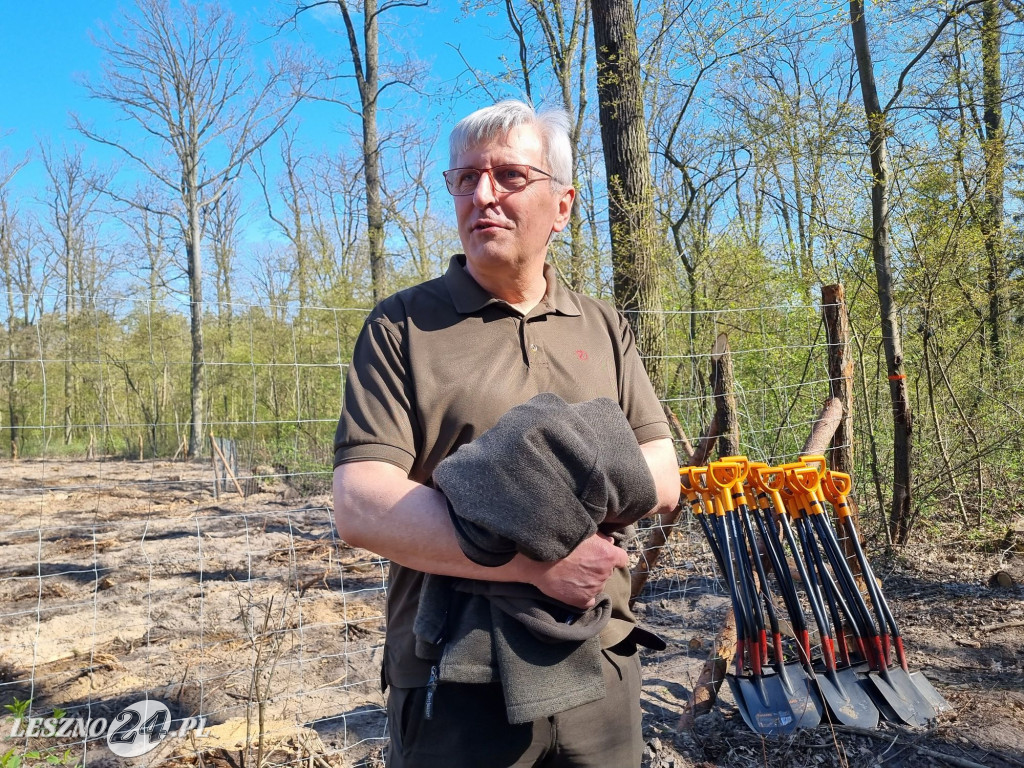 Akcja sadzenia drzew w Nadleśnictwie Karczma Borowa