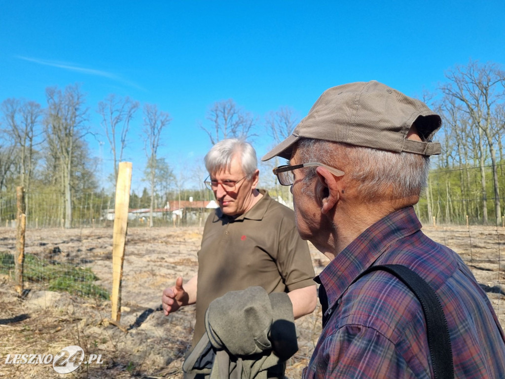 Akcja sadzenia drzew w Nadleśnictwie Karczma Borowa
