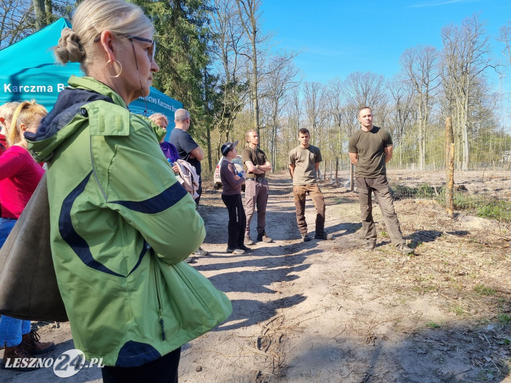Akcja sadzenia drzew w Nadleśnictwie Karczma Borowa