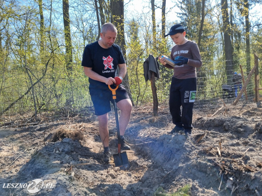 Akcja sadzenia drzew w Nadleśnictwie Karczma Borowa