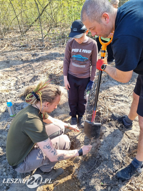 Akcja sadzenia drzew w Nadleśnictwie Karczma Borowa