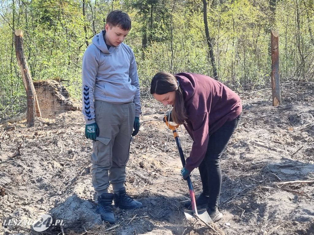 Akcja sadzenia drzew w Nadleśnictwie Karczma Borowa
