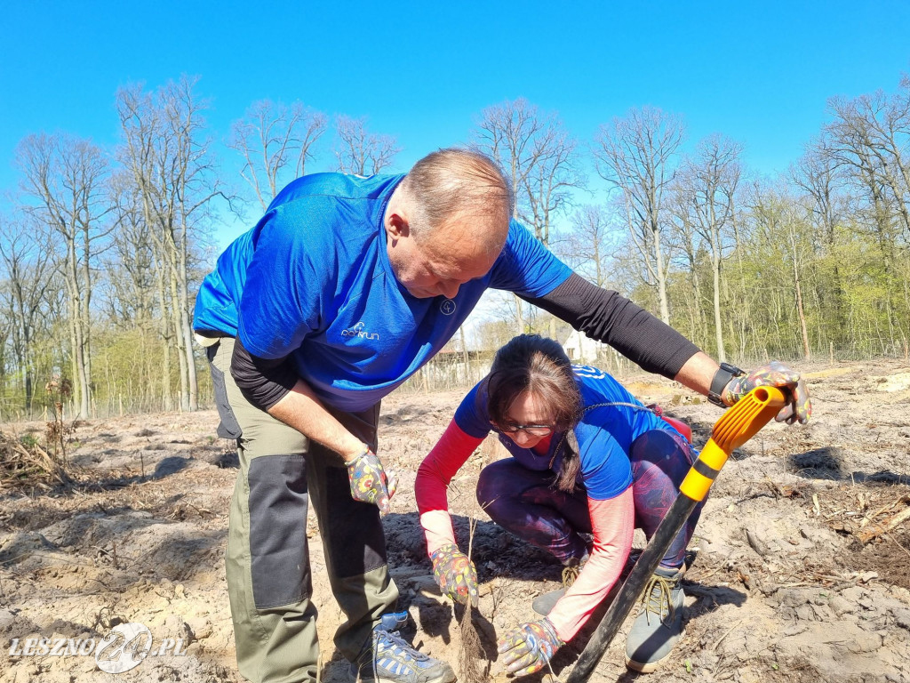 Akcja sadzenia drzew w Nadleśnictwie Karczma Borowa