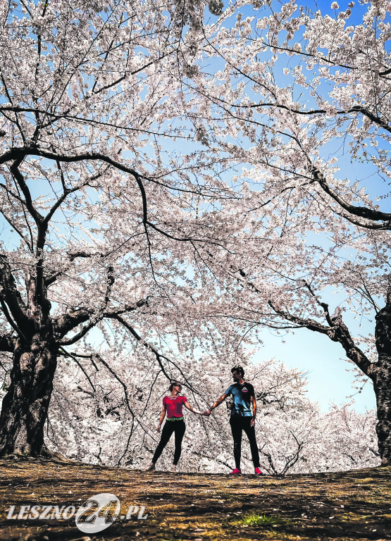 Podróżnicy Ania Braciszewicz i Arek Prałat wzięli ślub