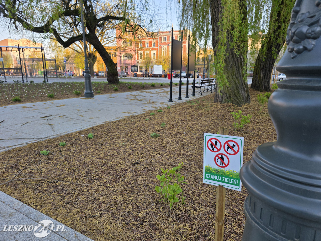 Fontanna na Rynku w Osiecznej